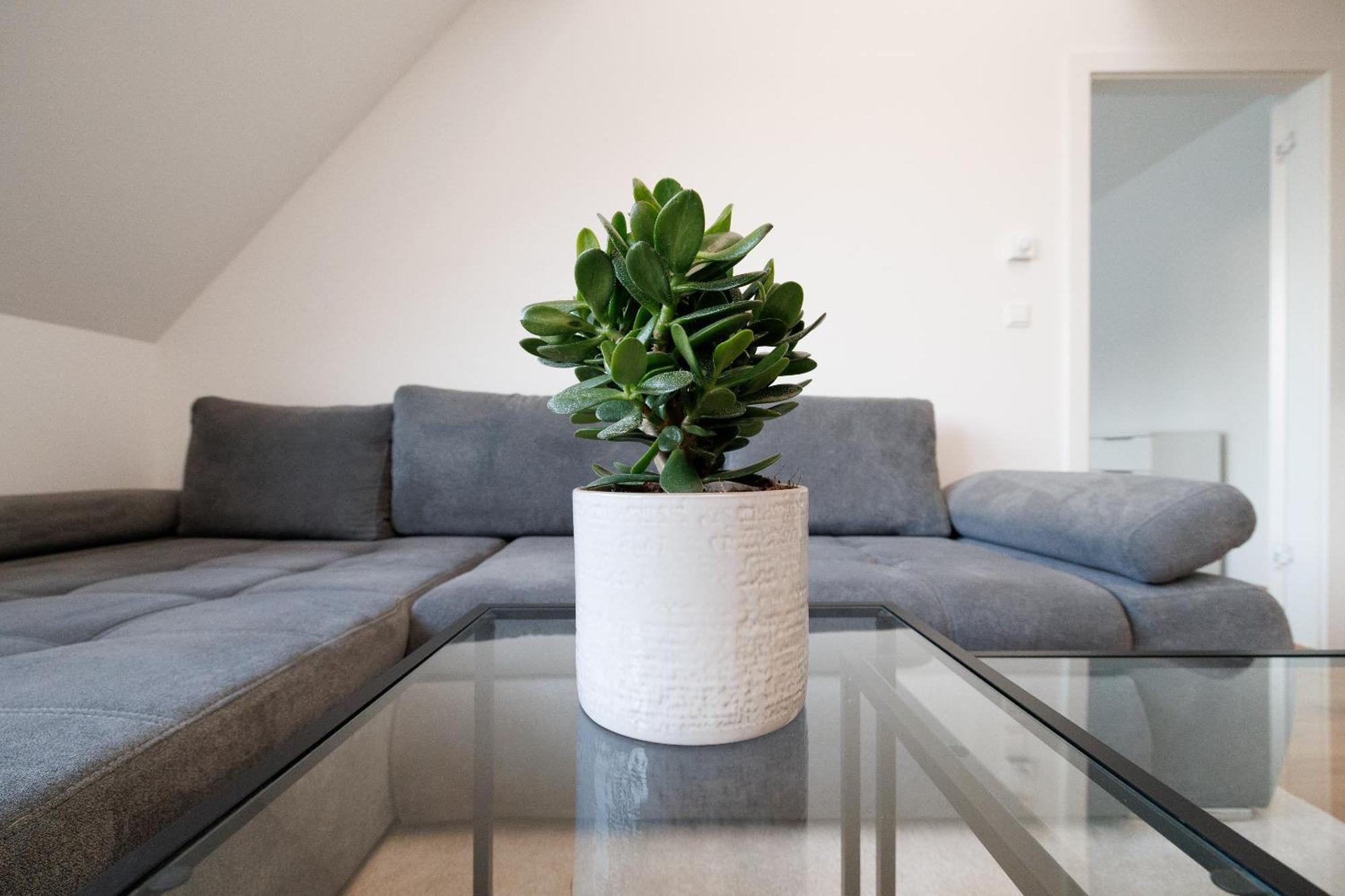 Symphony Apartments 41 - Modern Loft With Terrace And Grill In Central Location Wiedeń Zewnętrze zdjęcie